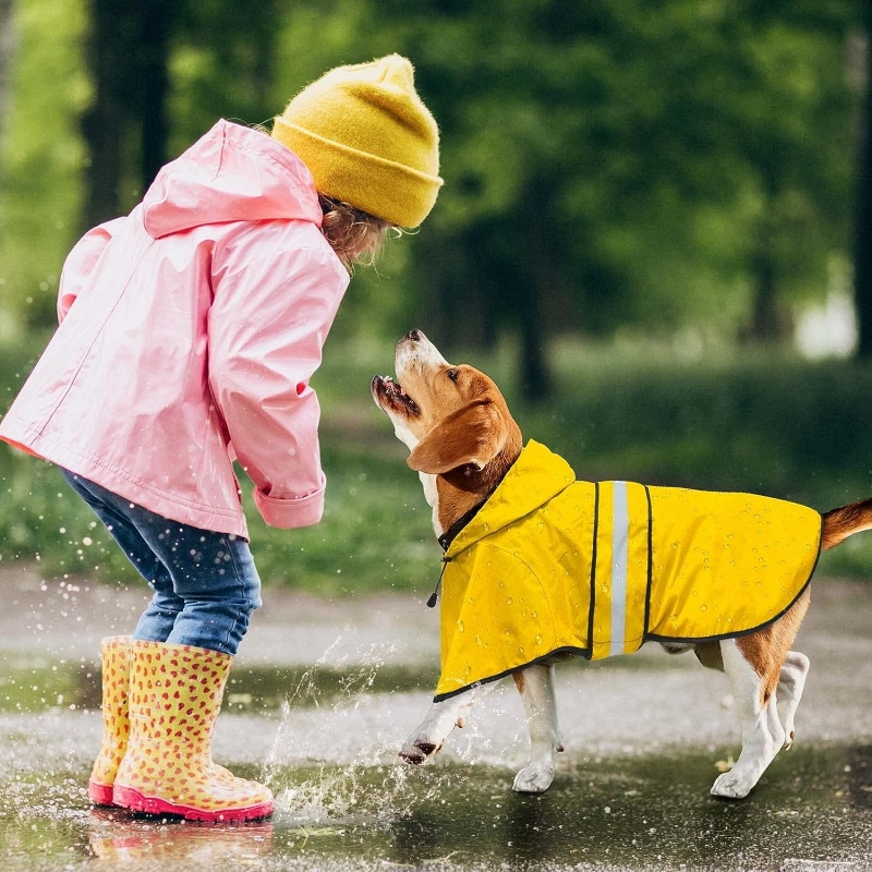 little girl and a dog with rain coat for dogs playing in the rain